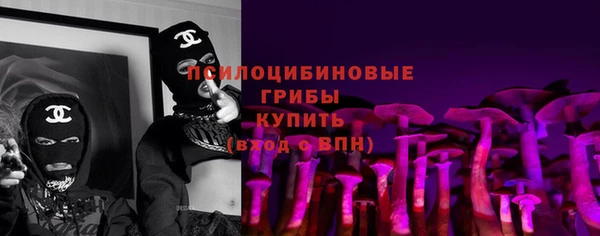 мяу мяу мука Арсеньев