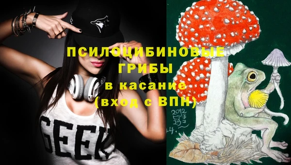 мяу мяу мука Арсеньев