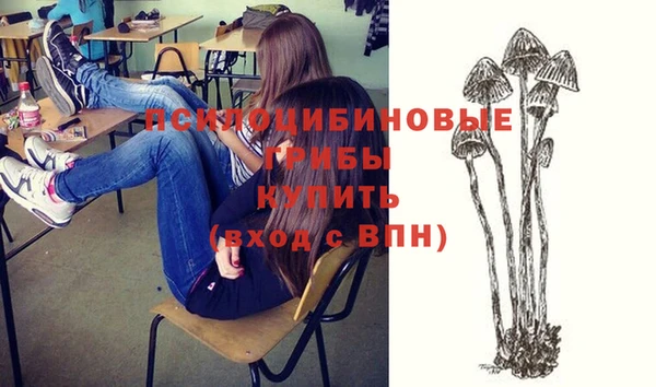мяу мяу мука Арсеньев