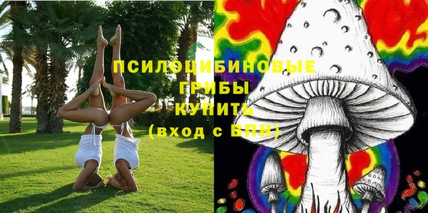 мяу мяу мука Арсеньев